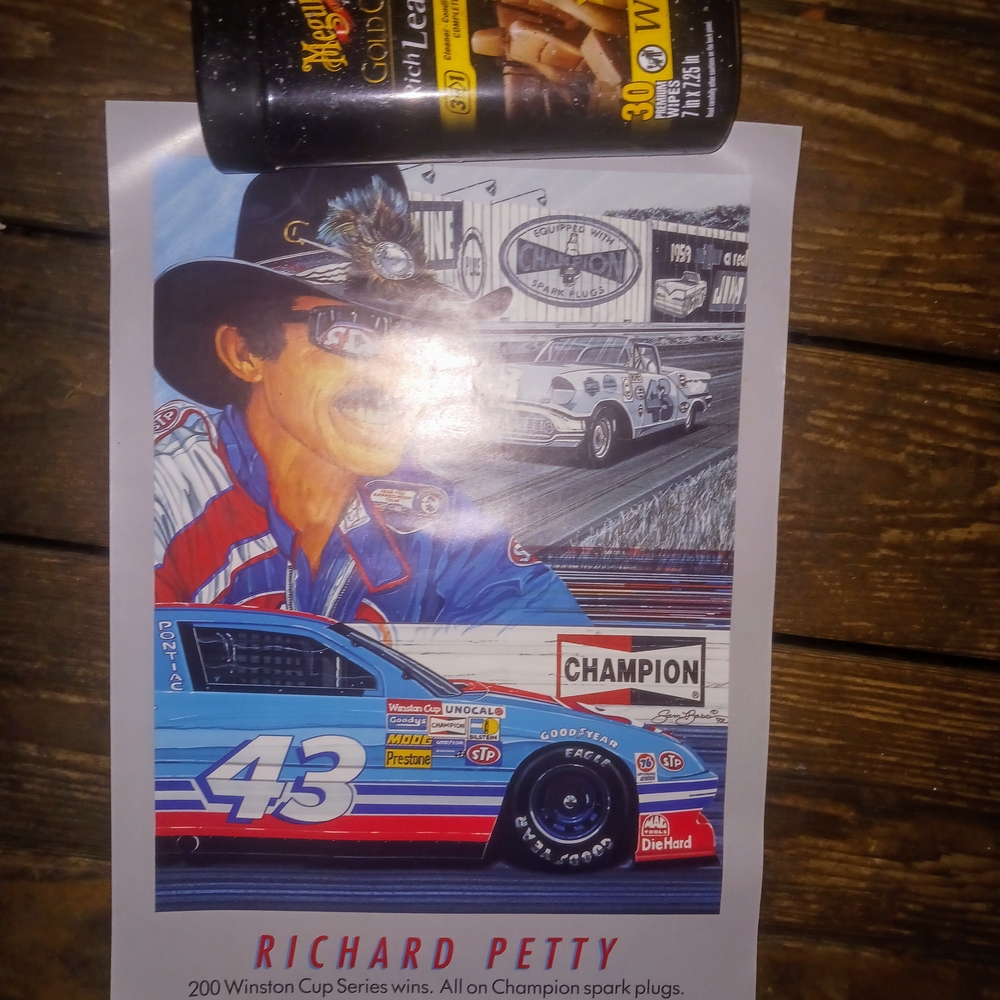Richard Petty Racing Poster